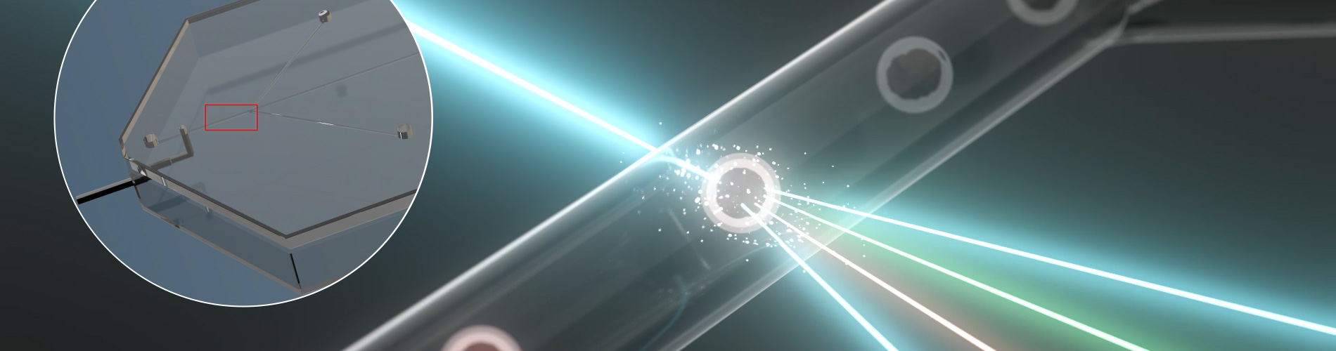 Single cell main header image